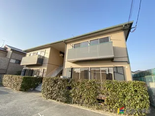 トルナーレの画像