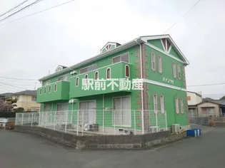 パイン99の画像