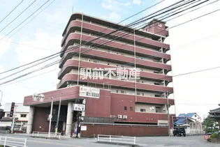 シャルムOKの画像