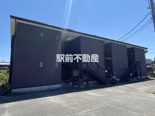 プリムローズの画像