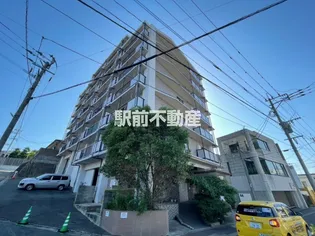 グレイシスの画像