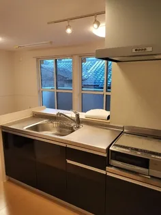 リバーパーク新天町.【202号室】のキッチン