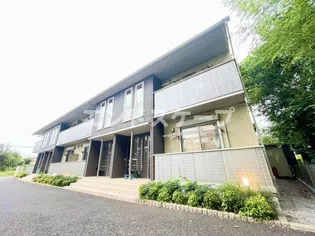 カーサカメリアの画像