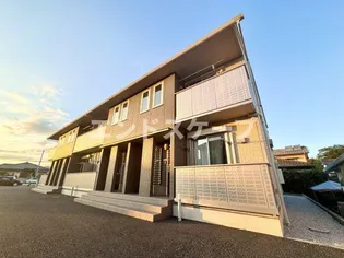 ルピナスの画像