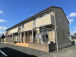 マルベリーの画像