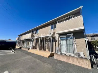 アプリコットの画像