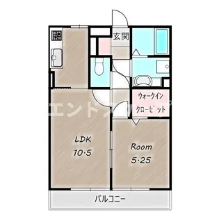 FRAU【3階】の間取り