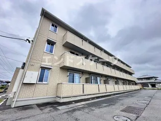 オルタシア カツラの画像