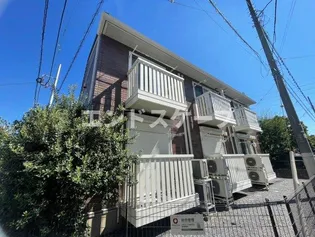 オアシスの画像