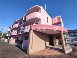 サニーパレス【3階】の外観