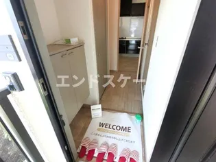 メゾン・ド・カメリア【201号室】の玄関