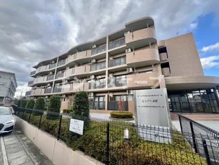 ピュアー双葉の画像