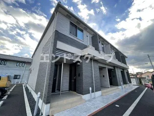 ステラノートの画像