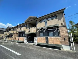 ウィルモアBの画像