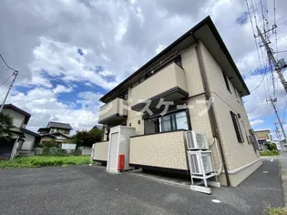 アムールCの画像