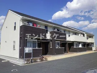 EVERGREEN M Tの画像