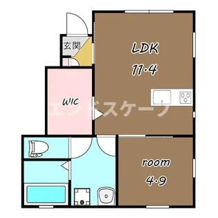 ANIMAL KINGDOM【1階】の間取り