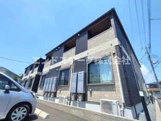 カメリアAの画像