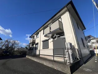 プラシードの画像