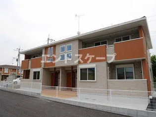 ライフシティ ステイゴールドの画像