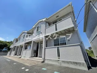 ヴァイオレットBの画像