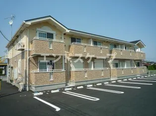 プラシードの画像