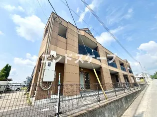 シャンティの画像