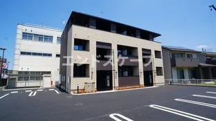 アリッサムの画像