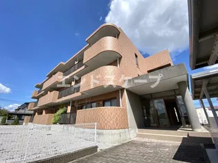サンアレーの画像