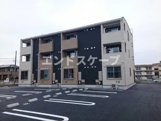 プラシードN Aの画像