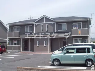 アプリコットBの画像