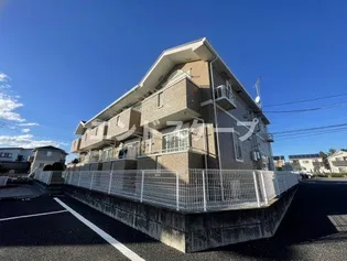 サニーブライトの画像