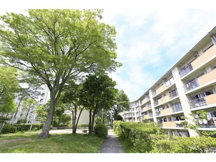 兵庫県神戸市北区南五葉2丁目【マンション】の外観