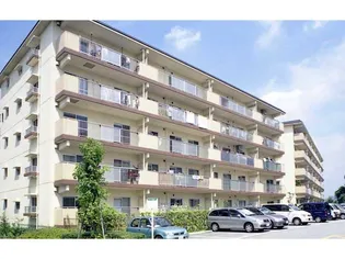 兵庫県三田市すずかけ台4丁目【マンション】の外観