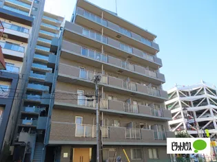 ATHKM DEL FIOREの画像