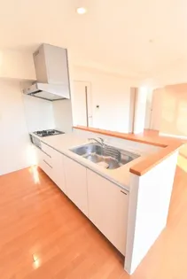 シュライン樹館【11階】のキッチン