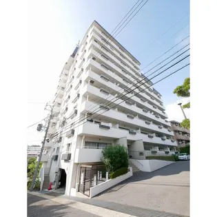 ライオンズマンション星ヶ丘【501(フルリノベーション)号室】の外観