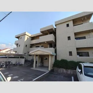 グレイスヒルカジノ【203号室】の外観