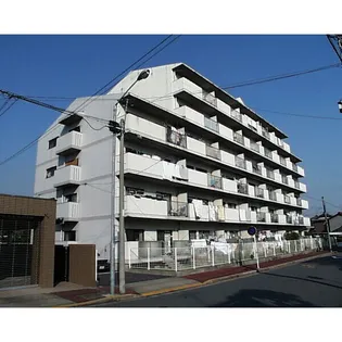 メゾン白菊の画像