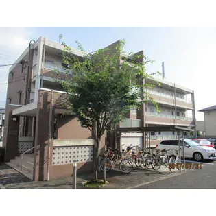 アザレア ヒルの画像