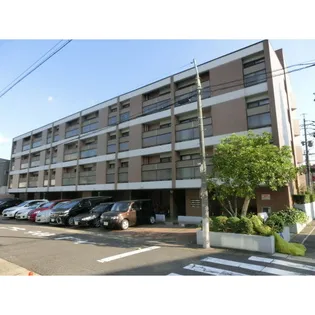 NSハイムの画像