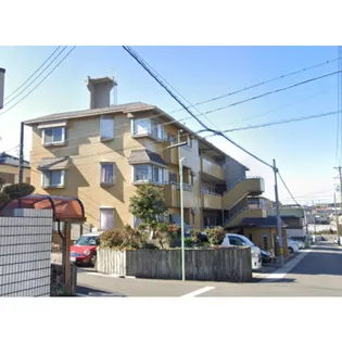 シャンボール9の画像