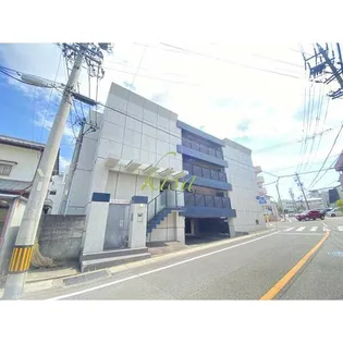 シャンテニエの画像