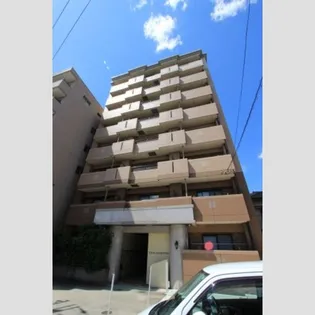 ファレノプシスの画像