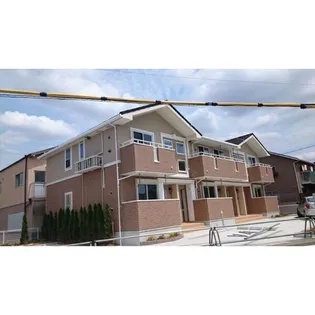 コスモスの画像