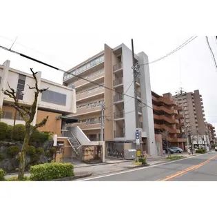 ウィル猫洞の画像