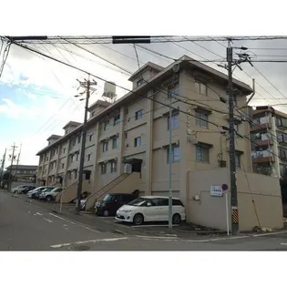 メゾンほら貝の画像