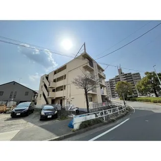 ユニバーサル島田の画像