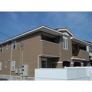 プラシードの画像