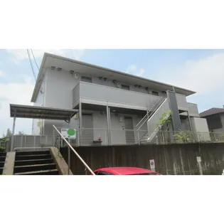 グレイスの画像